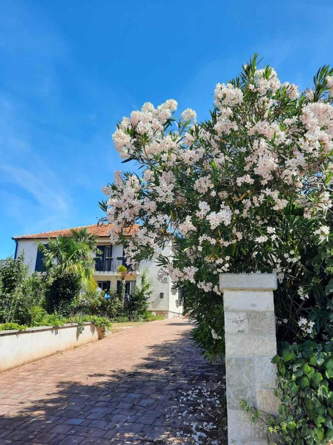 Apartments Palm House Rovinj Kültér fotó